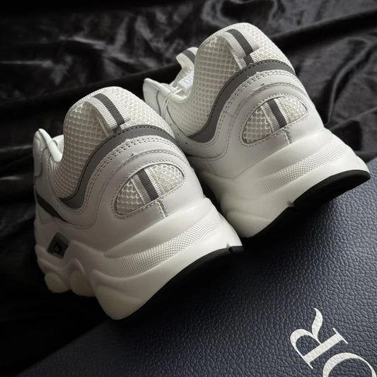 Dior B22